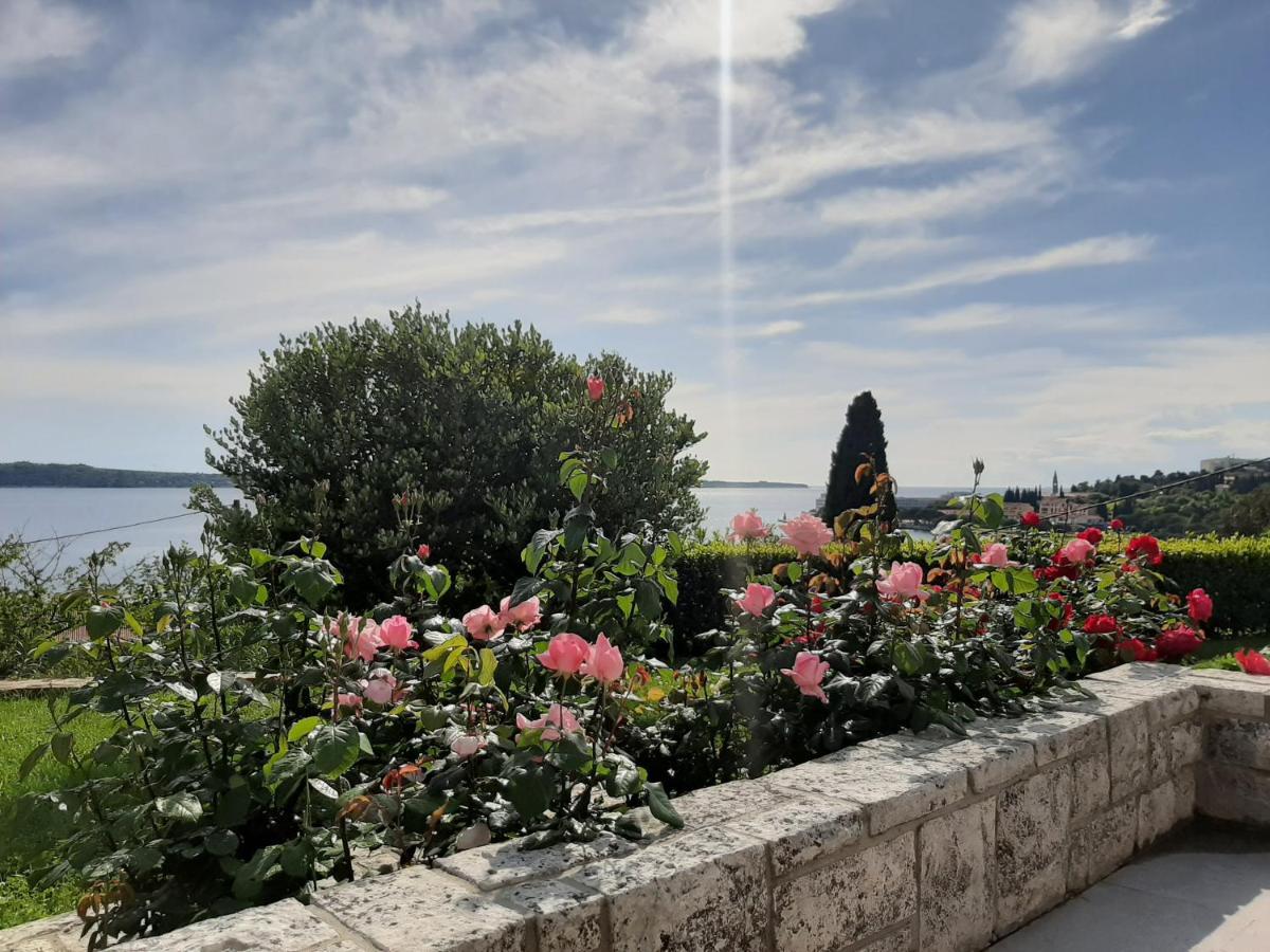 Studio Solare Portorož Dış mekan fotoğraf
